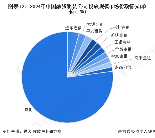图表12：2024年中国融资租赁公司投放规模市场份额情况(单位：%)