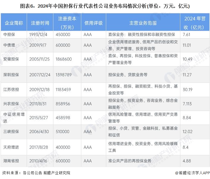 图表6：2024年中国担保行业代表性公司业务布局情况分析(单位：万元，亿元)