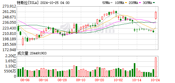 K图 TSLA_0