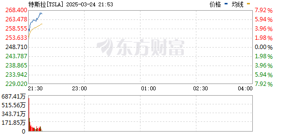 R图 TSLA_0