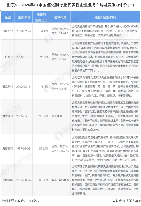 图表5：2024年H1中国催化剂行业代表性企业业务布局及竞争力评价(一)