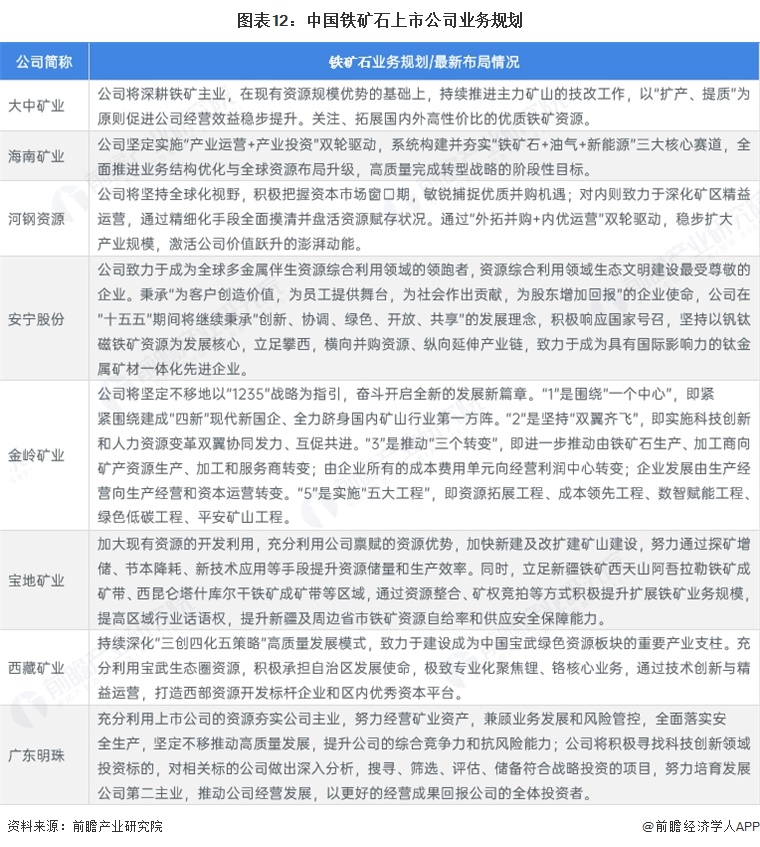 图表12：中国铁矿石上市公司业务规划