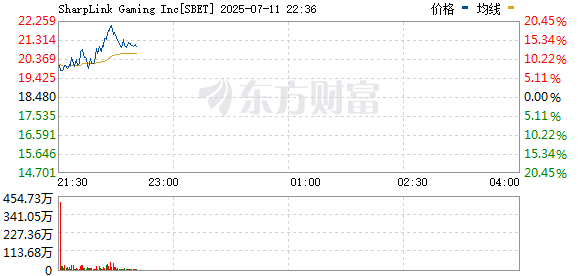 R图 SBET_0