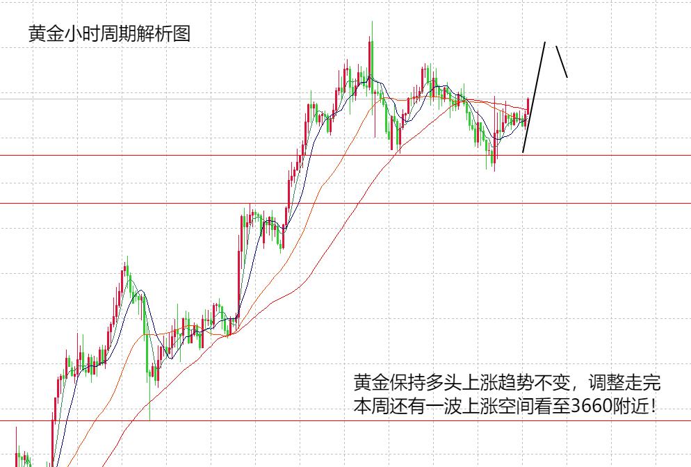 17e4840c-7d94-4471-bf2d-fbb0748cb55b.png