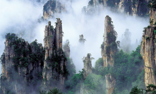 微信图片_20260602180605.png