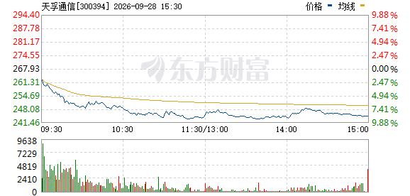 R图 300394_0